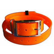 Collier fluo plein-air et chasse orange