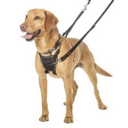 Harnais Non Pull