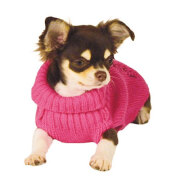 Pull Fun Star Doogy rose