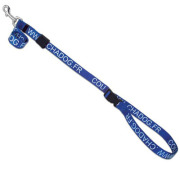 Sangle de toilettage