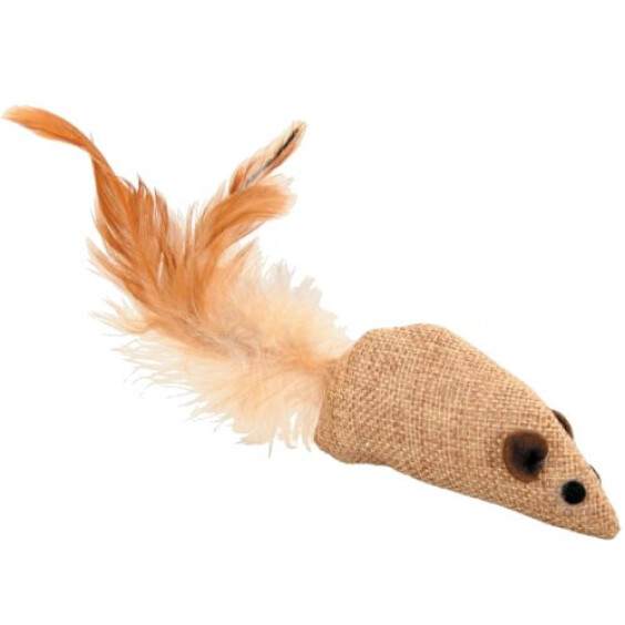 Souris chat Canvas