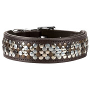 Collier cuir, luxe, personnalisé chien Arizona brun
