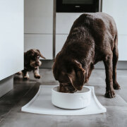 Tapis gamelle Hunter transparent