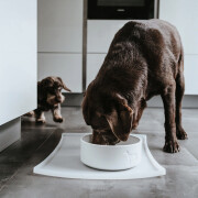 Tapis gamelle Hunter transparent