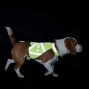 Harnais gilet de signalisation Hunter