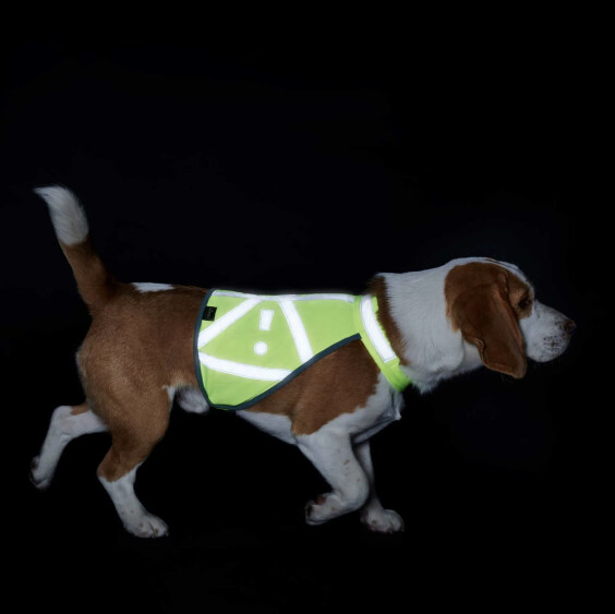 Harnais gilet de signalisation Hunter