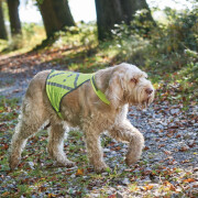 Harnais gilet de signalisation