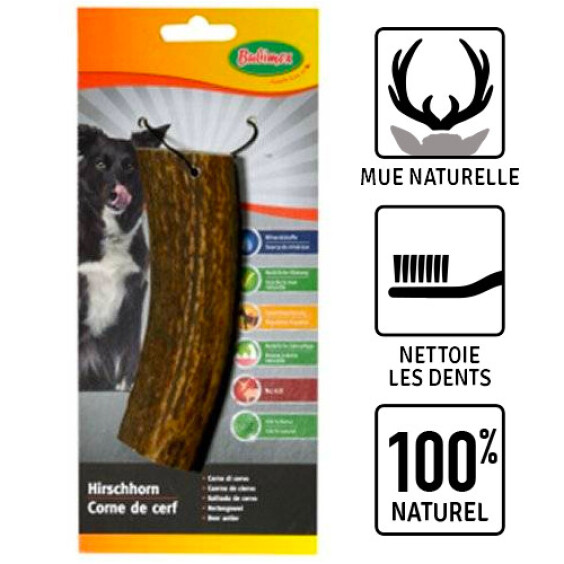 Bois de cerf pour gros chien XXL large Bubimex