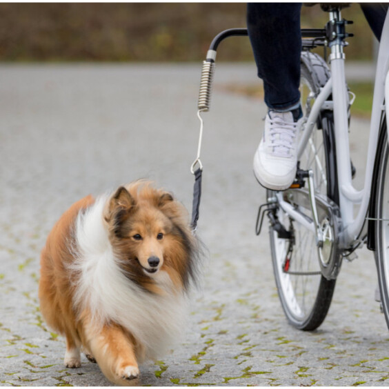 Springer vélo Friends