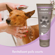 Shampoing démêlant poils courts Beaphar