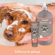 Shampoing Éclat du pelage Beaphar