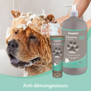 Shampoing anti-démangeaisons tube de 250 ml Beaphar