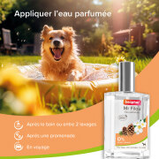 Parfum Mr Filou pour mâle