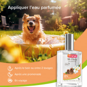 Parfum Mr Filou pour mâle Beaphar