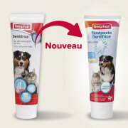 Dentifrice haleine fraîche chien et chat