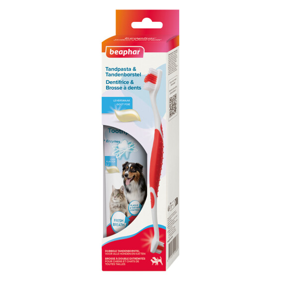 Combi-pack dentifrice et brosse à dents chien et chat Beaphar
