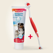Combi-pack dentifrice et brosse à dents chien et chat Beaphar