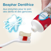 Dentifrice et Brosse à dents chien et chat