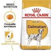 ROYAL CANIN Croquettes Dalmatien Adult