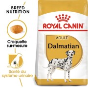 ROYAL CANIN Croquettes Dalmatien Adult