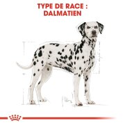 ROYAL CANIN Croquettes Dalmatien Adult