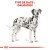 ROYAL CANIN Croquettes Dalmatien Adult