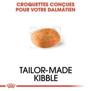 ROYAL CANIN Croquettes Dalmatien Adult