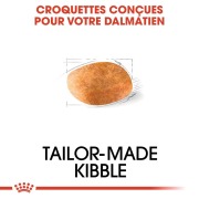 ROYAL CANIN Croquettes Dalmatien Adult sac de 12 kg