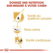 ROYAL CANIN Croquettes Dalmatien Adult