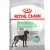 ROYAL CANIN Croquettes Maxi Digestive Care