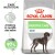 ROYAL CANIN Croquettes Maxi Digestive Care