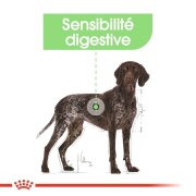 ROYAL CANIN Croquettes Maxi Digestive Care
