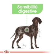 ROYAL CANIN Croquettes Maxi Digestive Care Sac de 12 kg