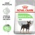 ROYAL CANIN Croquettes Mini Digestive Care adulte