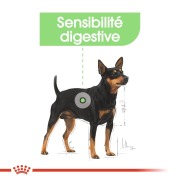 ROYAL CANIN Croquettes Mini Digestive Care adulte 3 kg