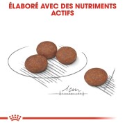 ROYAL CANIN Croquettes Mini Digestive Care adulte