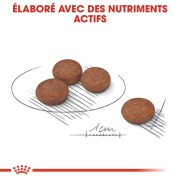 ROYAL CANIN Croquettes Mini Digestive Care adulte 3 kg