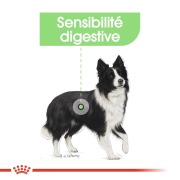 ROYAL CANIN Croquettes Medium Digestive Care Sac de 12 kg