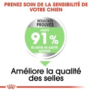 ROYAL CANIN Croquettes Medium Digestive Care Sac de 12 kg