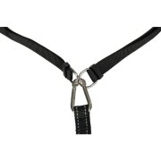 Ceinture ventrale canicross avec laisse