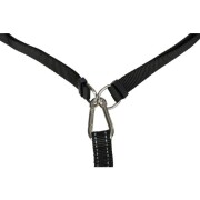 Ceinture ventrale canicross avec laisse