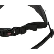 Ceinture ventrale canicross avec laisse