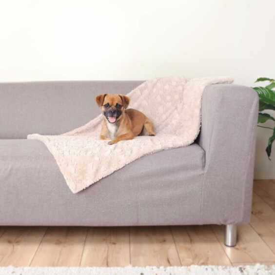 Couverture Cosy beige