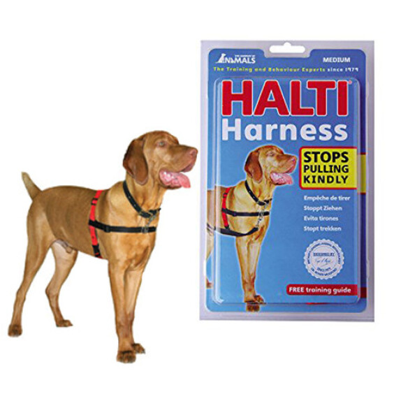 HALTI Harnais de dressage