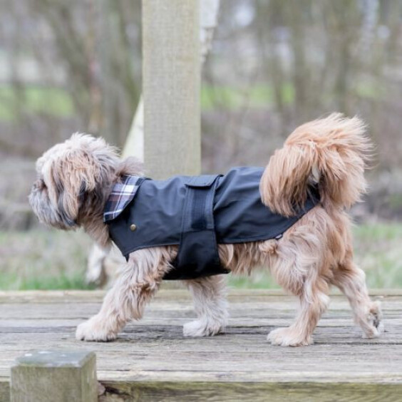 Manteau Paris