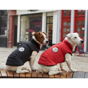 Manteau Strong rouge taille 25