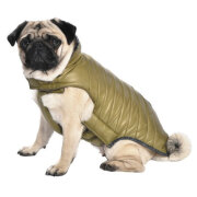 Manteau Bouledogue Indy kaki