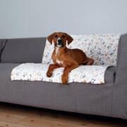 Couverture Lingo beige