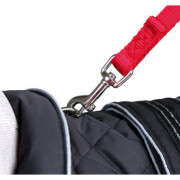 Manteau Bouledogue Rouen noir