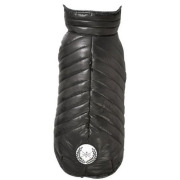 Manteau Bouledogue français Indy noir T.56